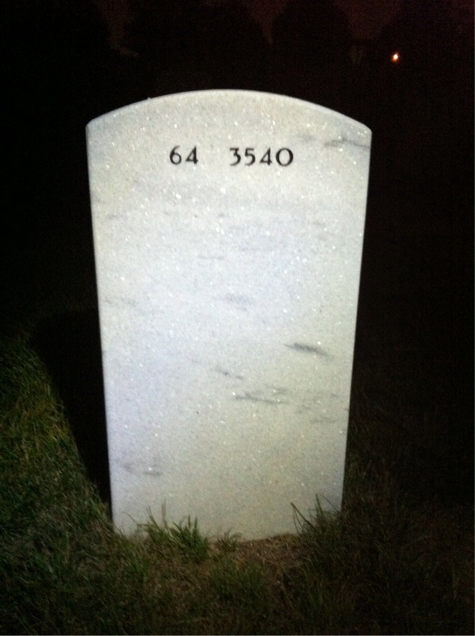 Back of headstone — Roy Mason