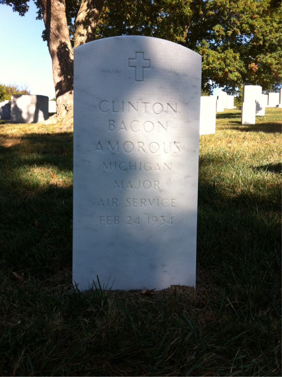 Clinton Amorous