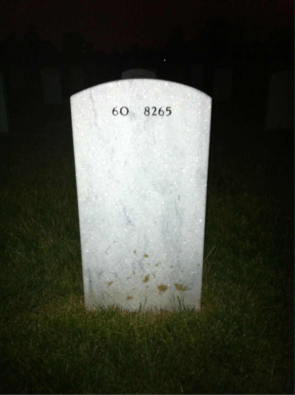 Back of headstone — Robert Wilson