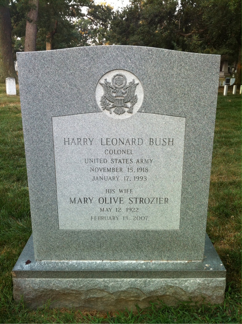 Harry Bush