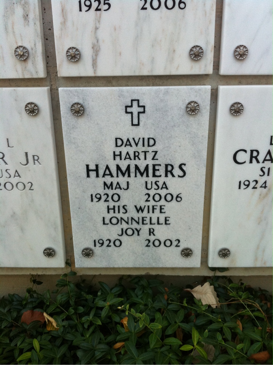 David Hammers