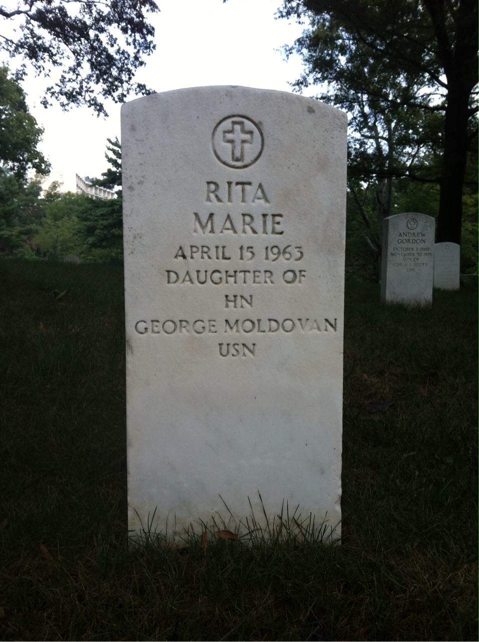 Rita Moldovan