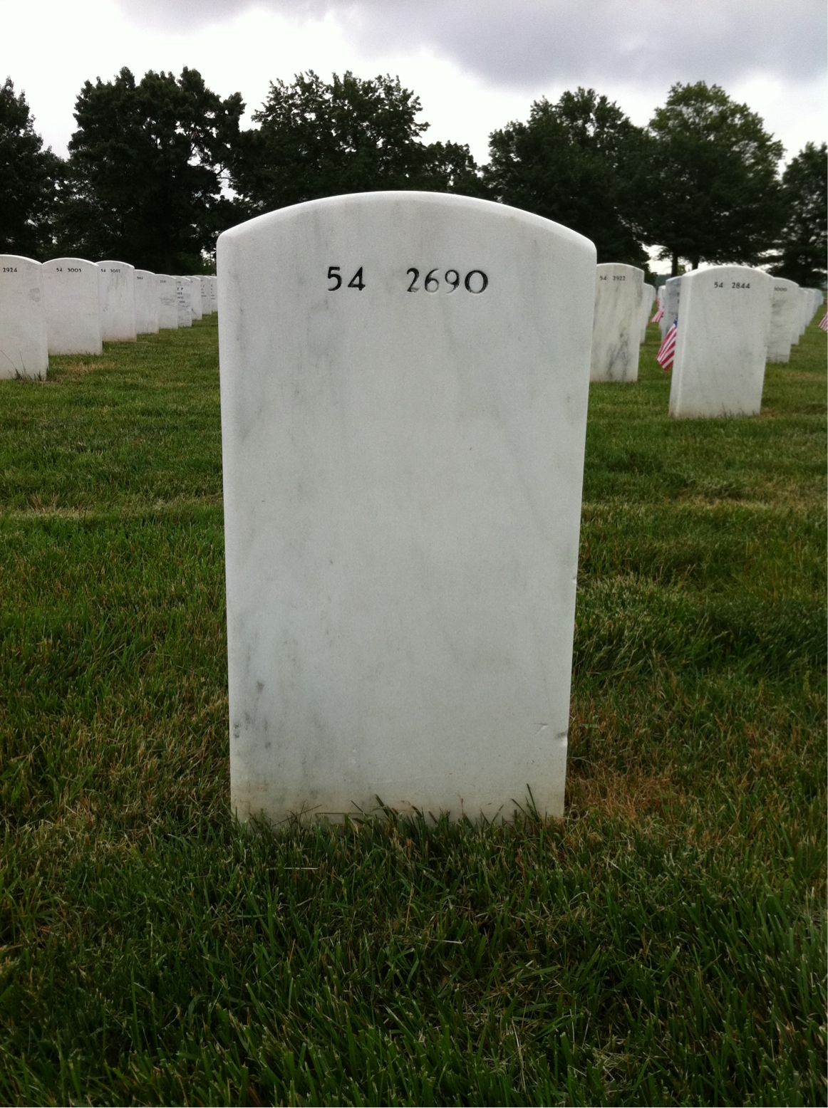 Back of headstone — Francis Venino