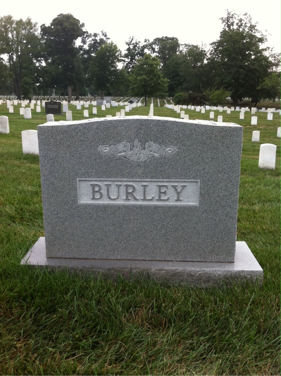 Back of headstone — Albert Burley