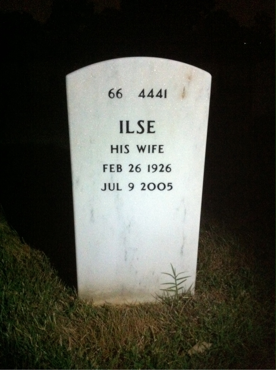 Back of headstone — Walter Irish