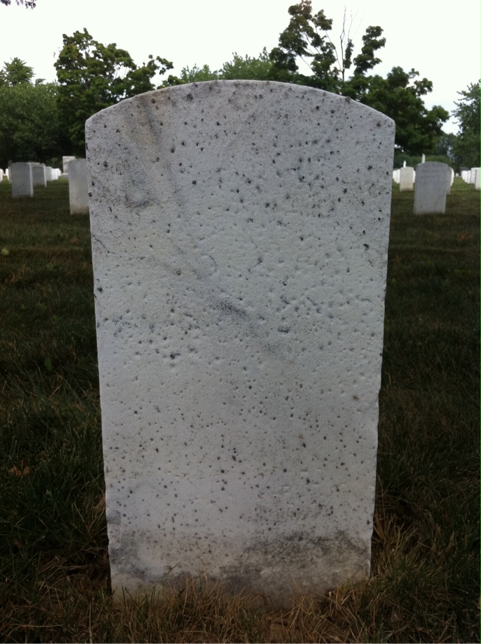 Back of headstone — William Argue