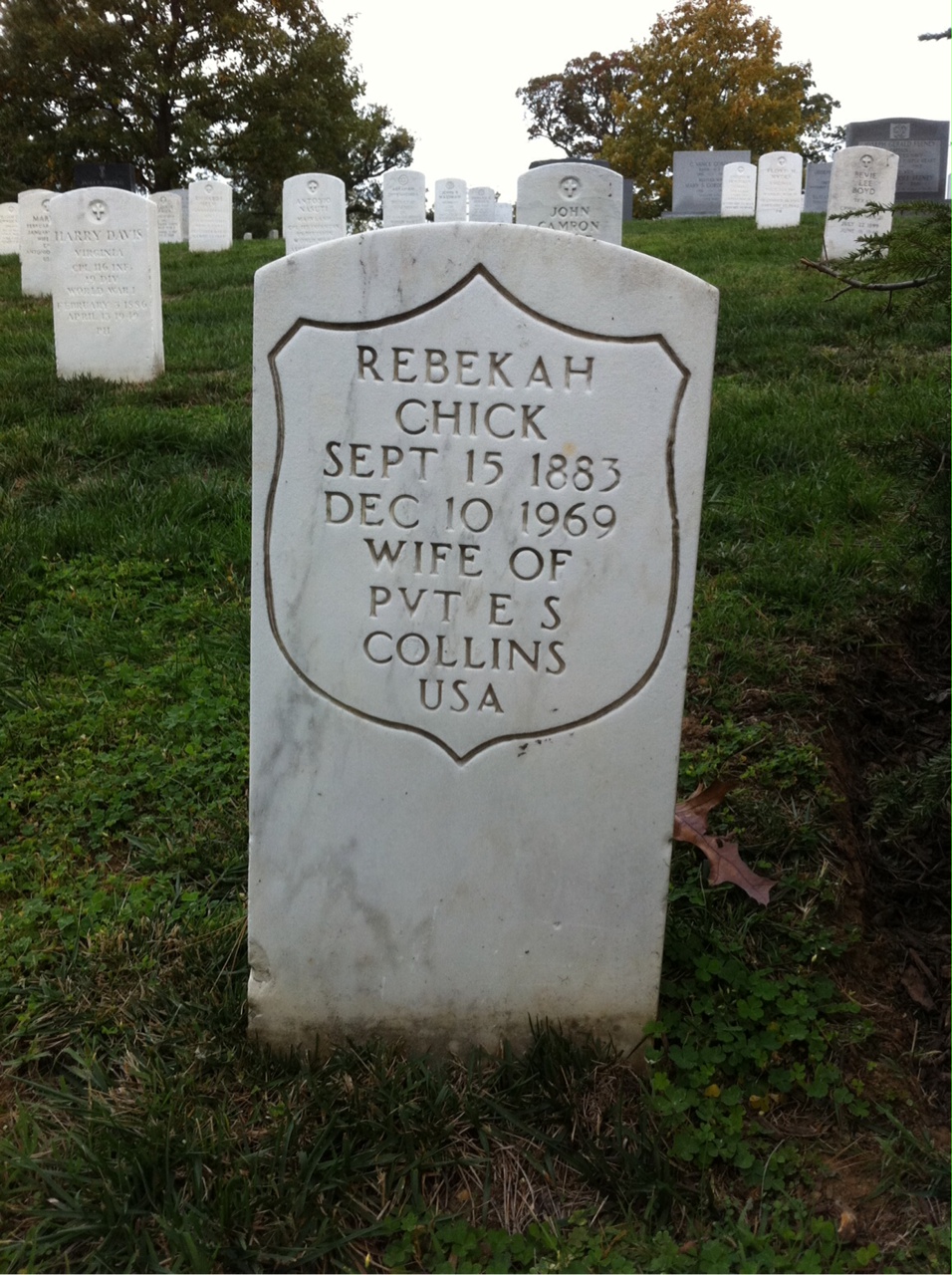 Rebekah Collins