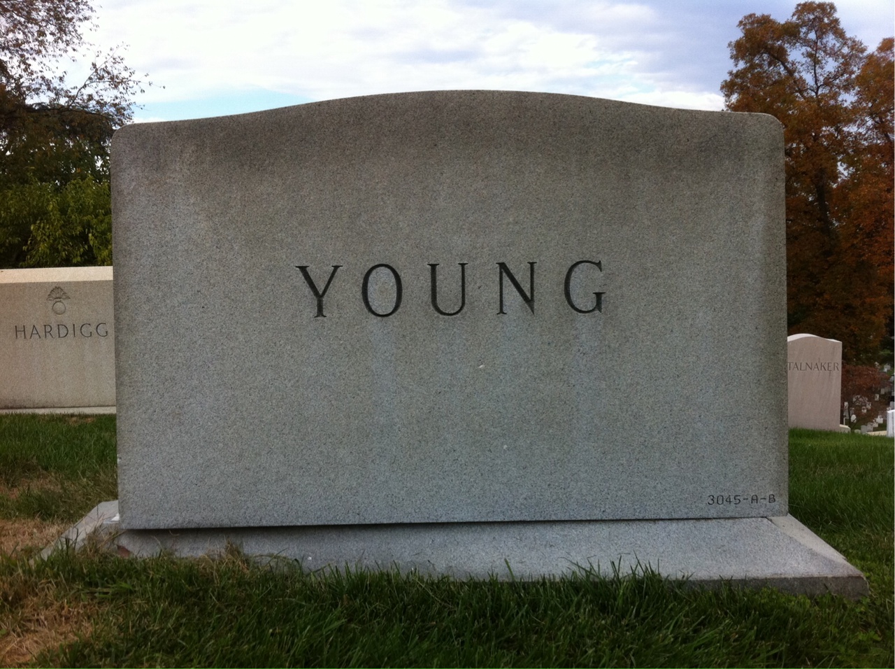 Back of headstone — Leilyn Young