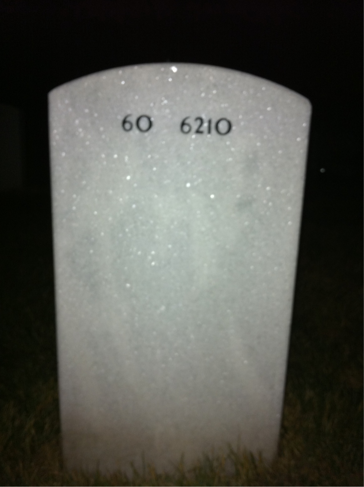 Back of headstone — Earl Marshall