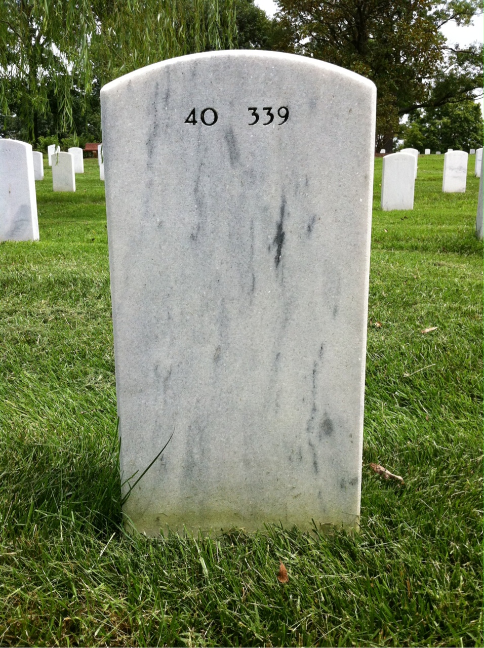 Back of headstone — William Mcconnell