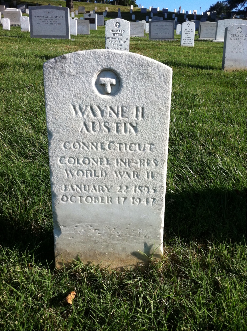 Wayne Austin