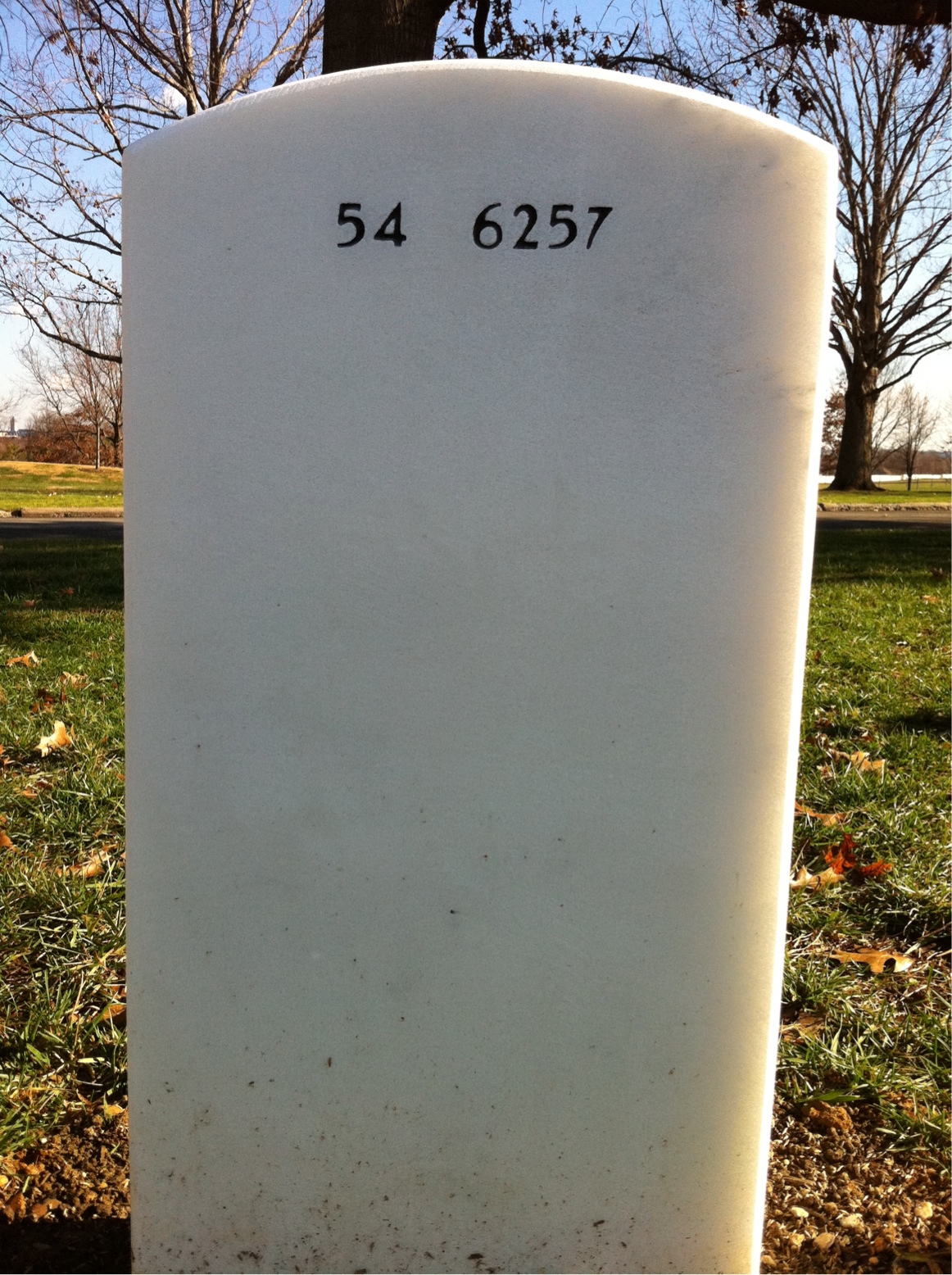 Back of headstone — Anthony Tolin