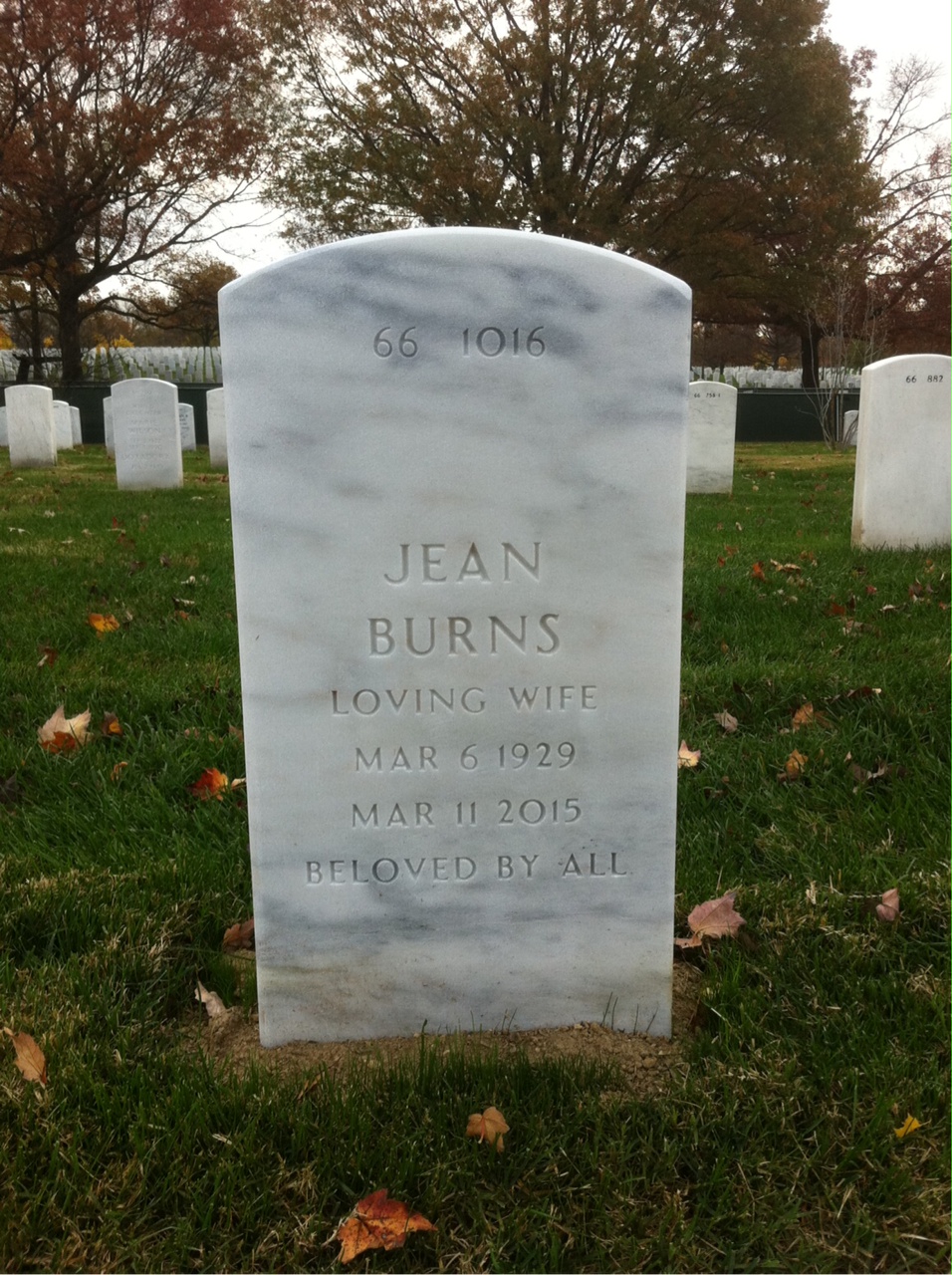 Back of headstone — Doyle Lott