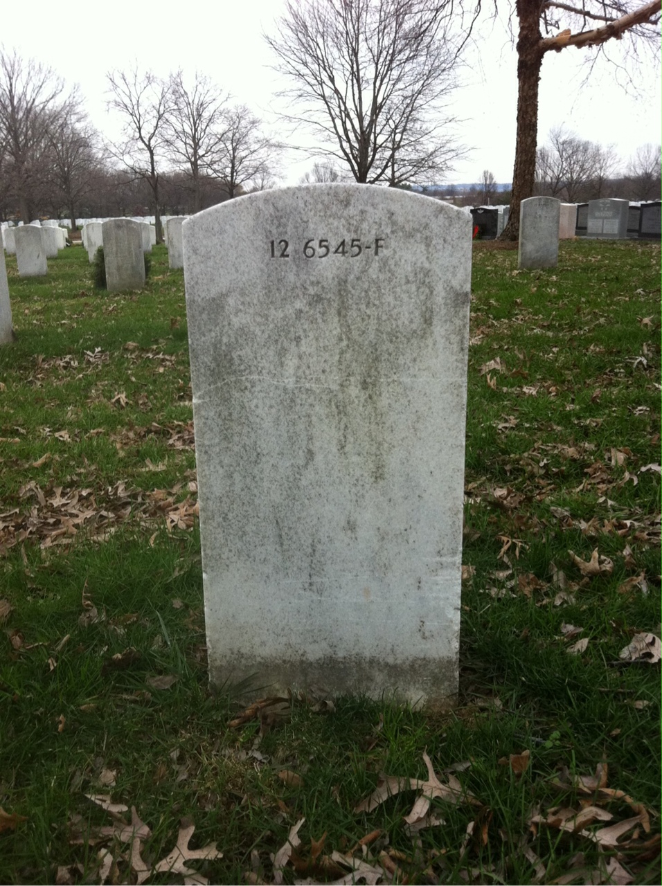 Back of headstone — Carlyle Jones