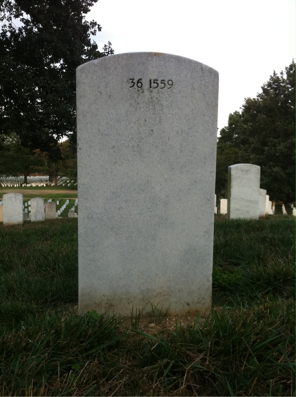 Back of headstone — Beatrice Albers