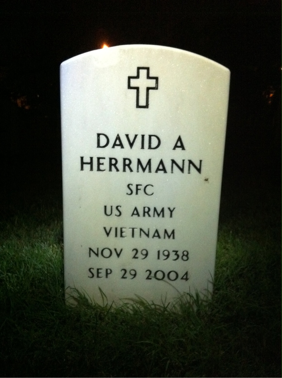 David Herrmann
