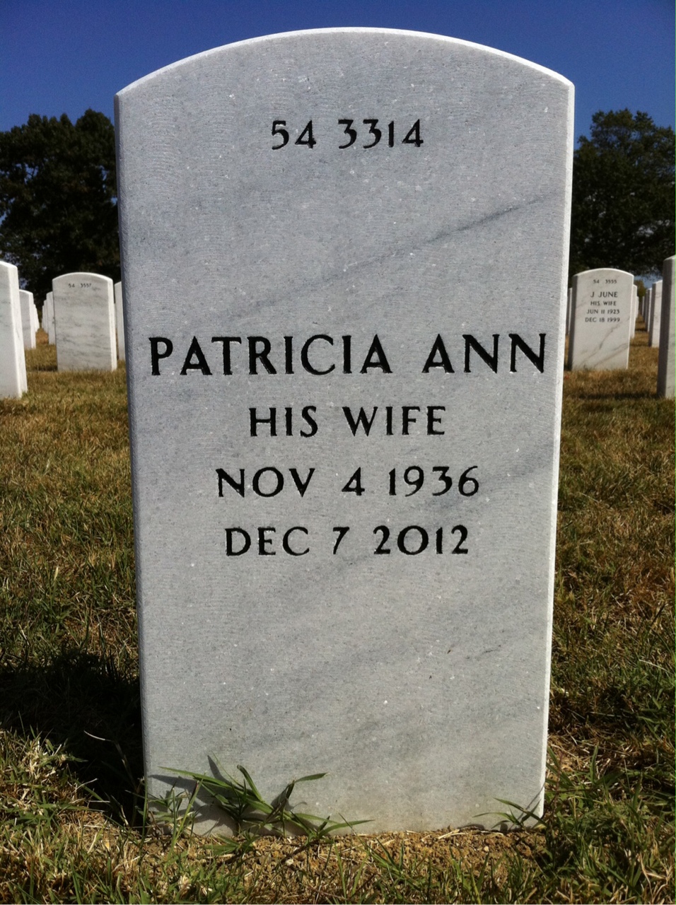 Back of headstone — David Gould