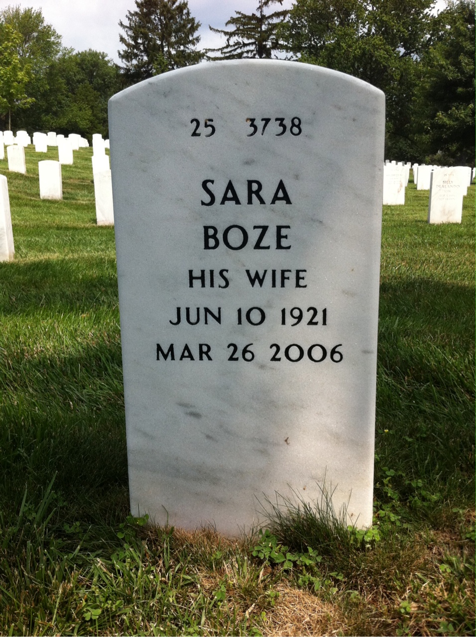 Back of headstone — Louis Ciccoli