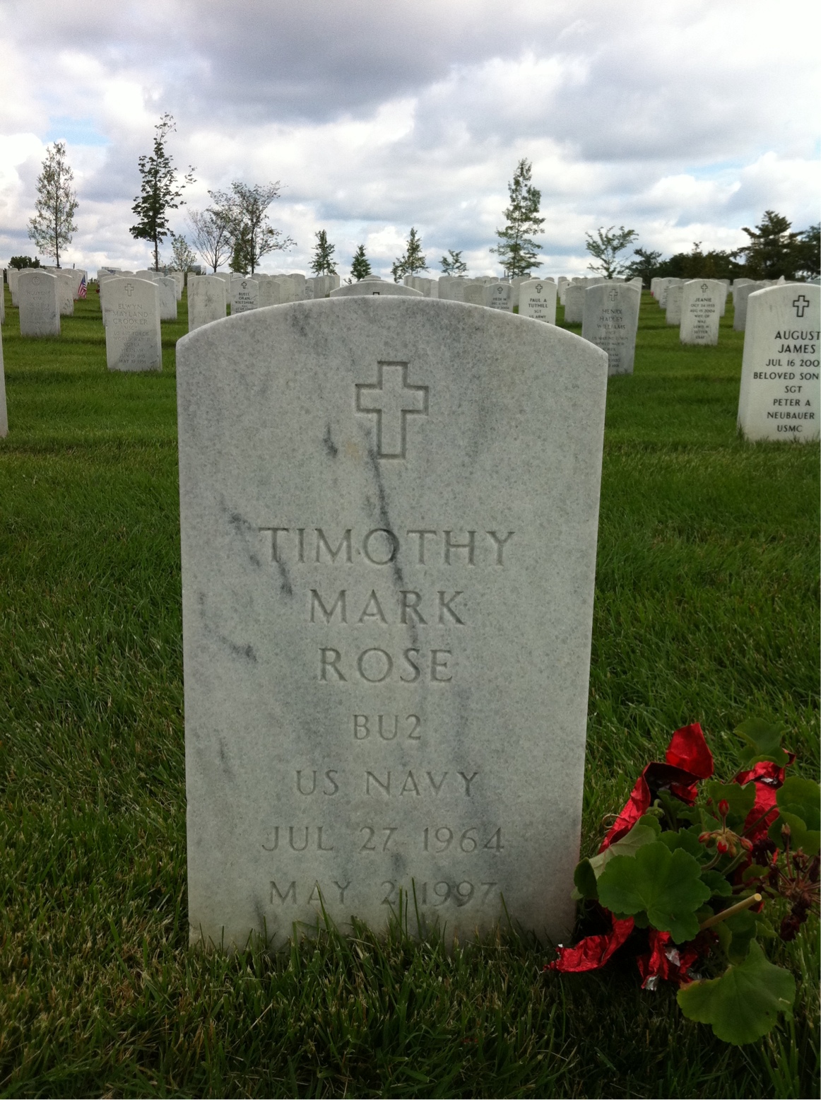 Timothy M Rose