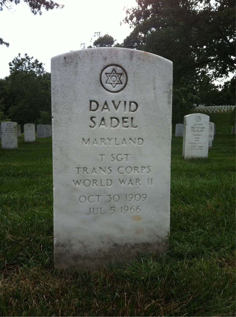 Yvonne W Sadel