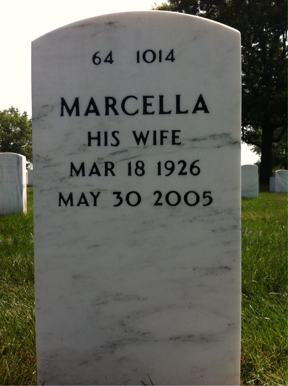Back of headstone — John Davis