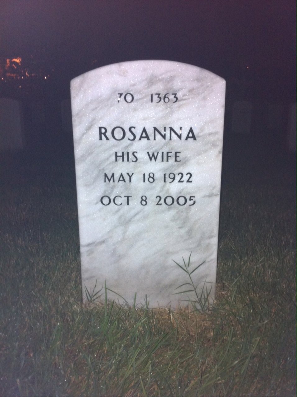 Back of headstone — Francis Van Veen