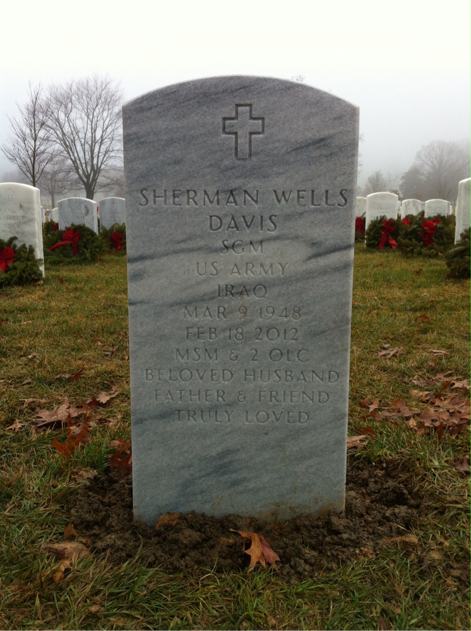 Sherman Wells Davis