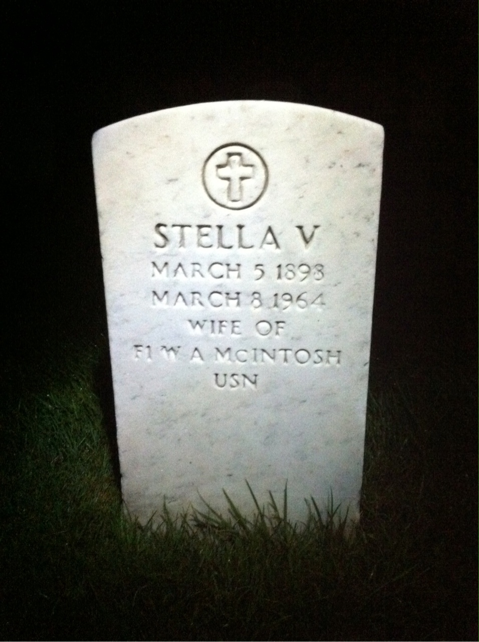 Stella Mcintosh