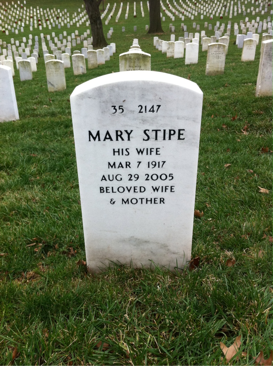 Back of headstone — Don Eyles