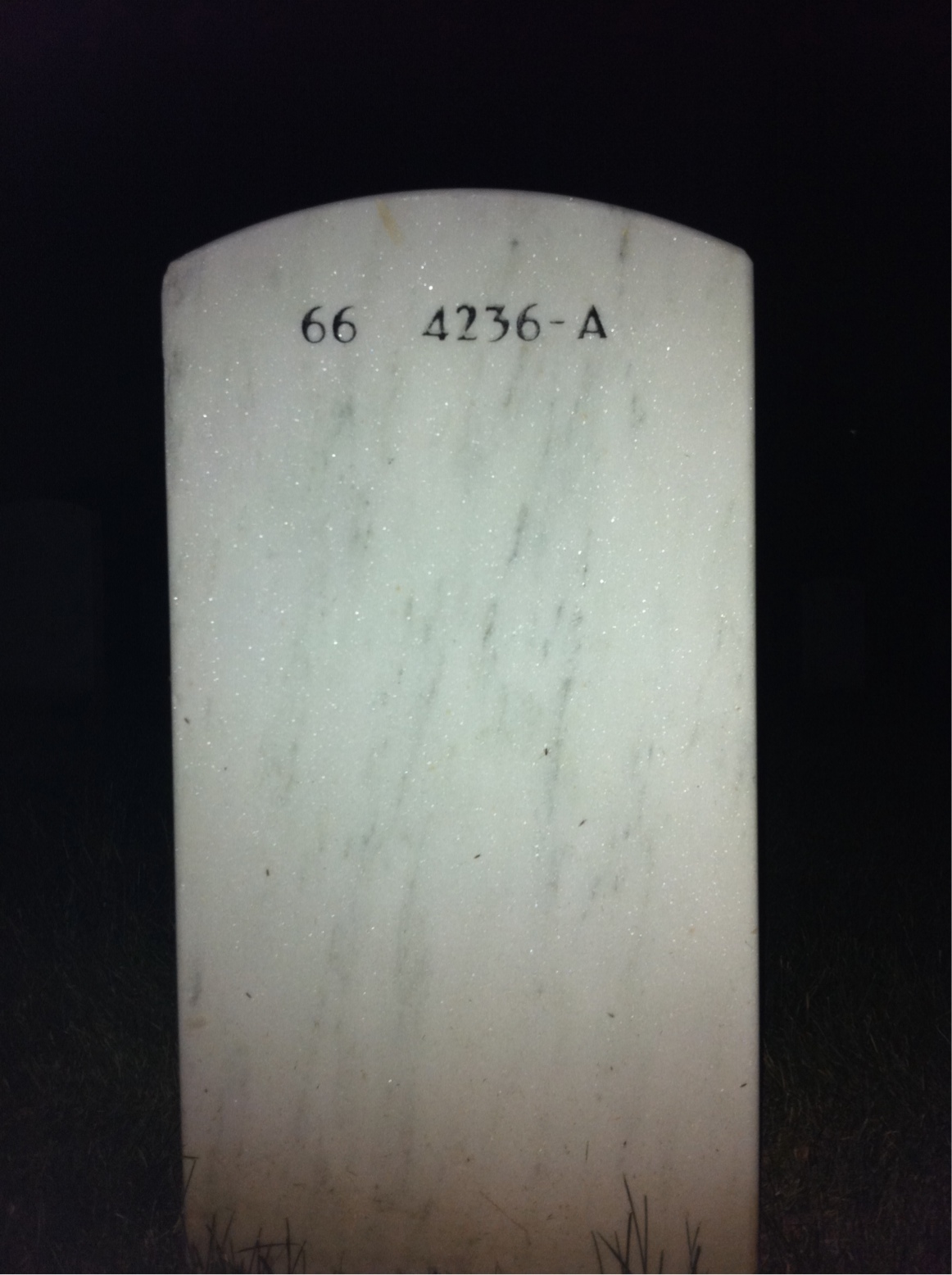 Back of headstone — John R Williamson