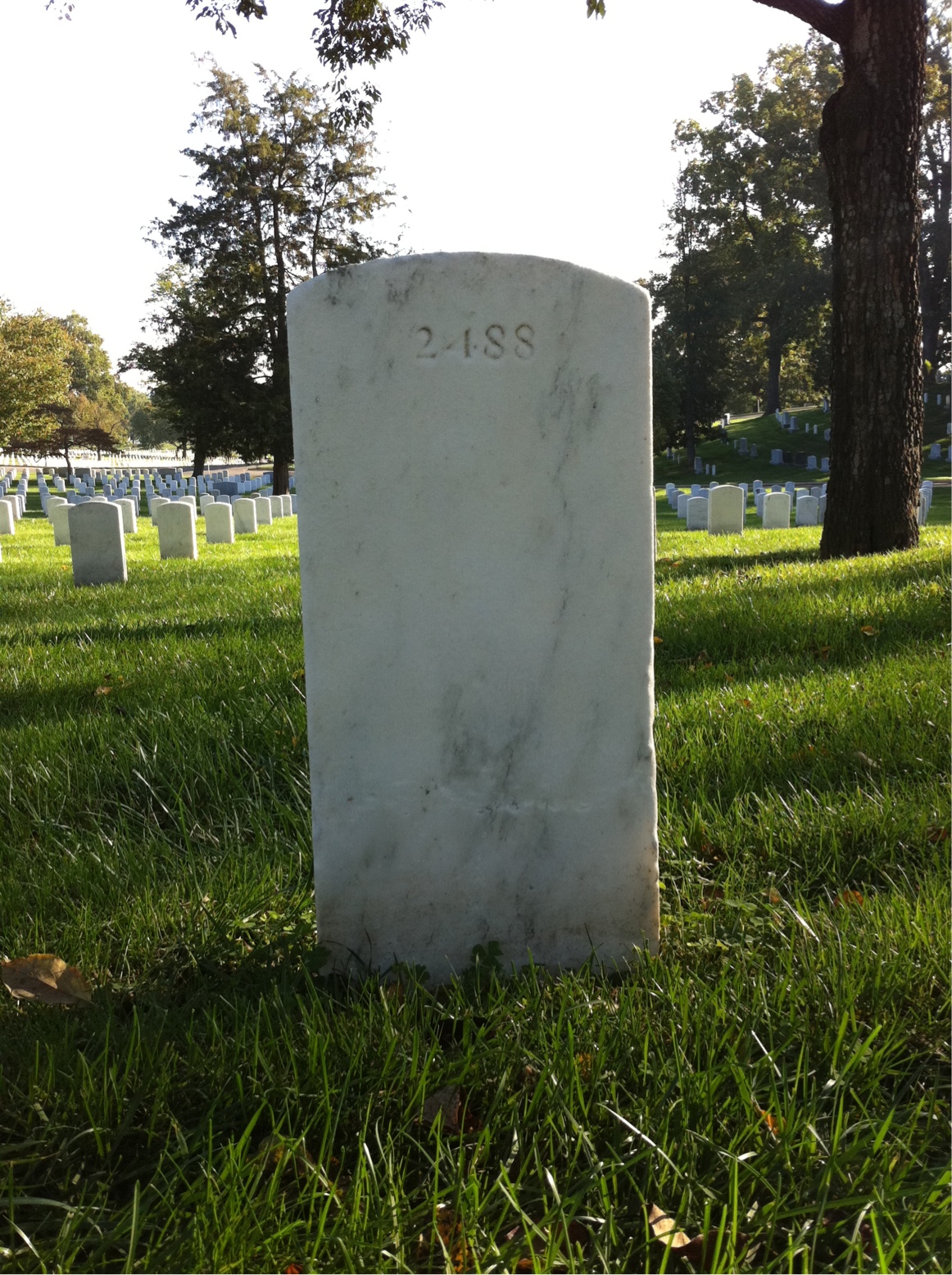 Back of headstone — Lester Ambrose