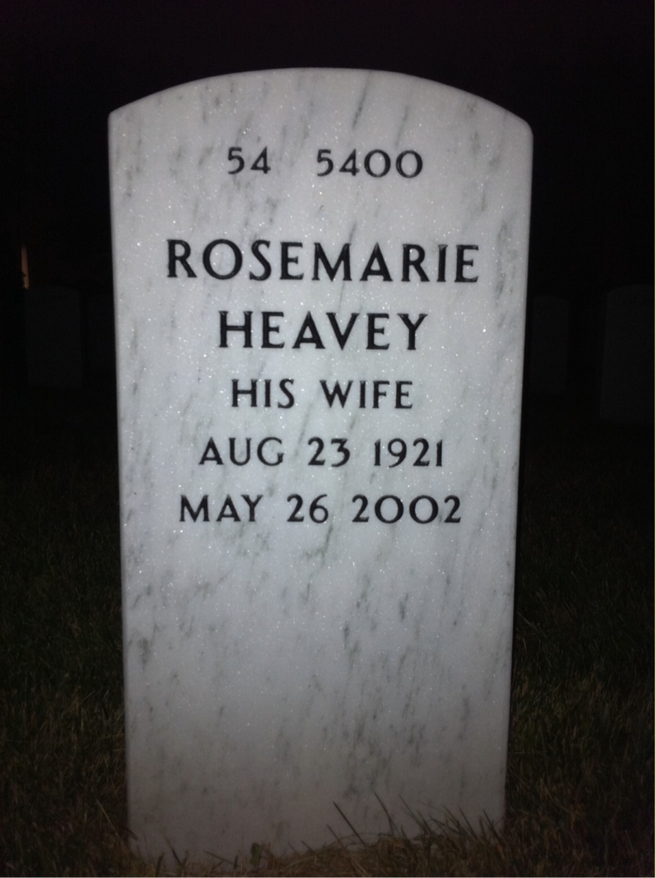 Back of headstone — Lee Daly