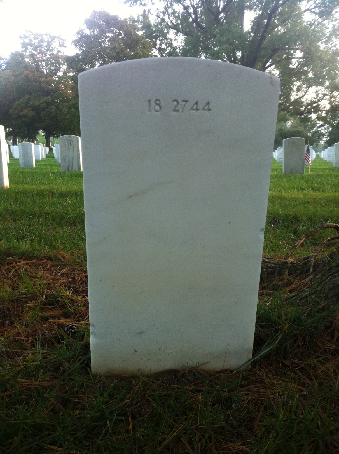 Back of headstone — William Miller