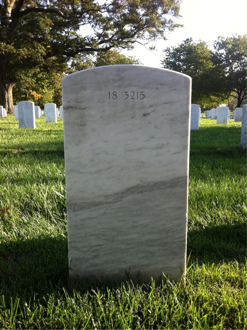 Back of headstone — Charles Alford