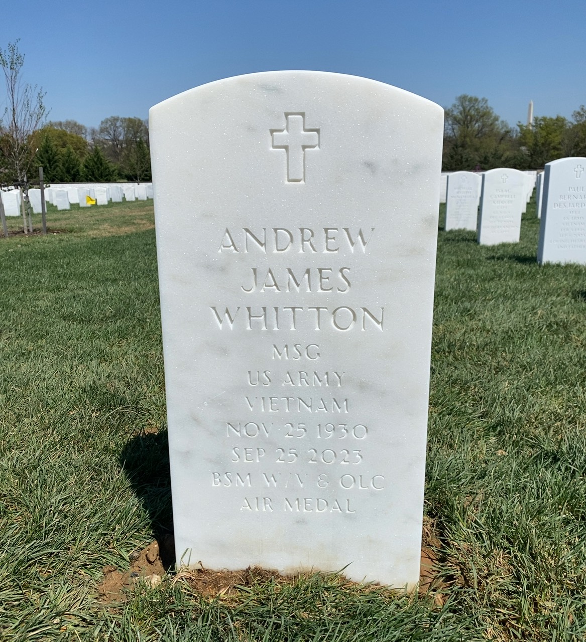 Andrew J Whitton