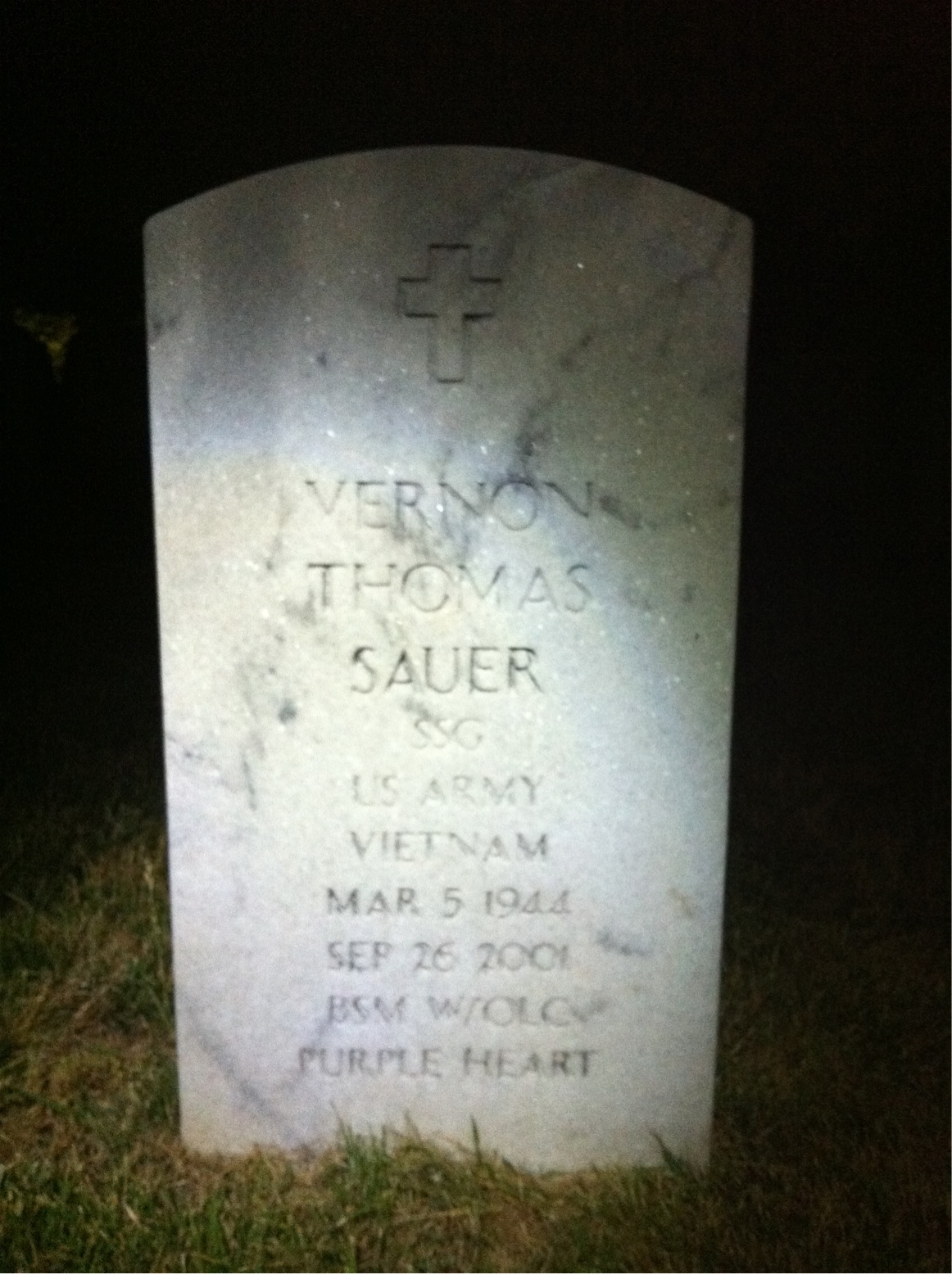 Vernon T Sauer