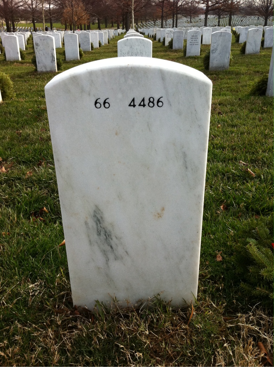 Back of headstone — Mell Lacy
