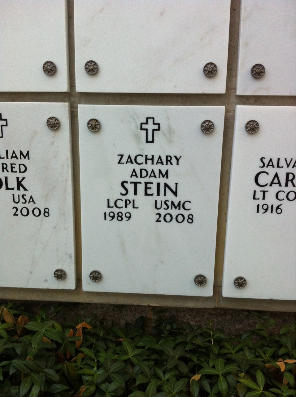 Zachary Stein
