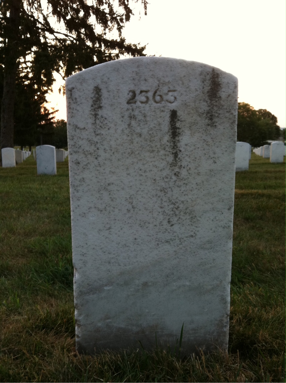 Back of headstone — William Adams
