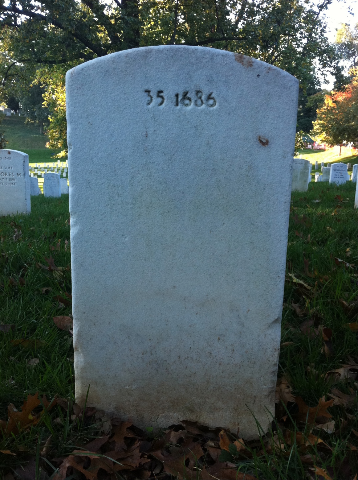 Back of headstone — Alice Applegate