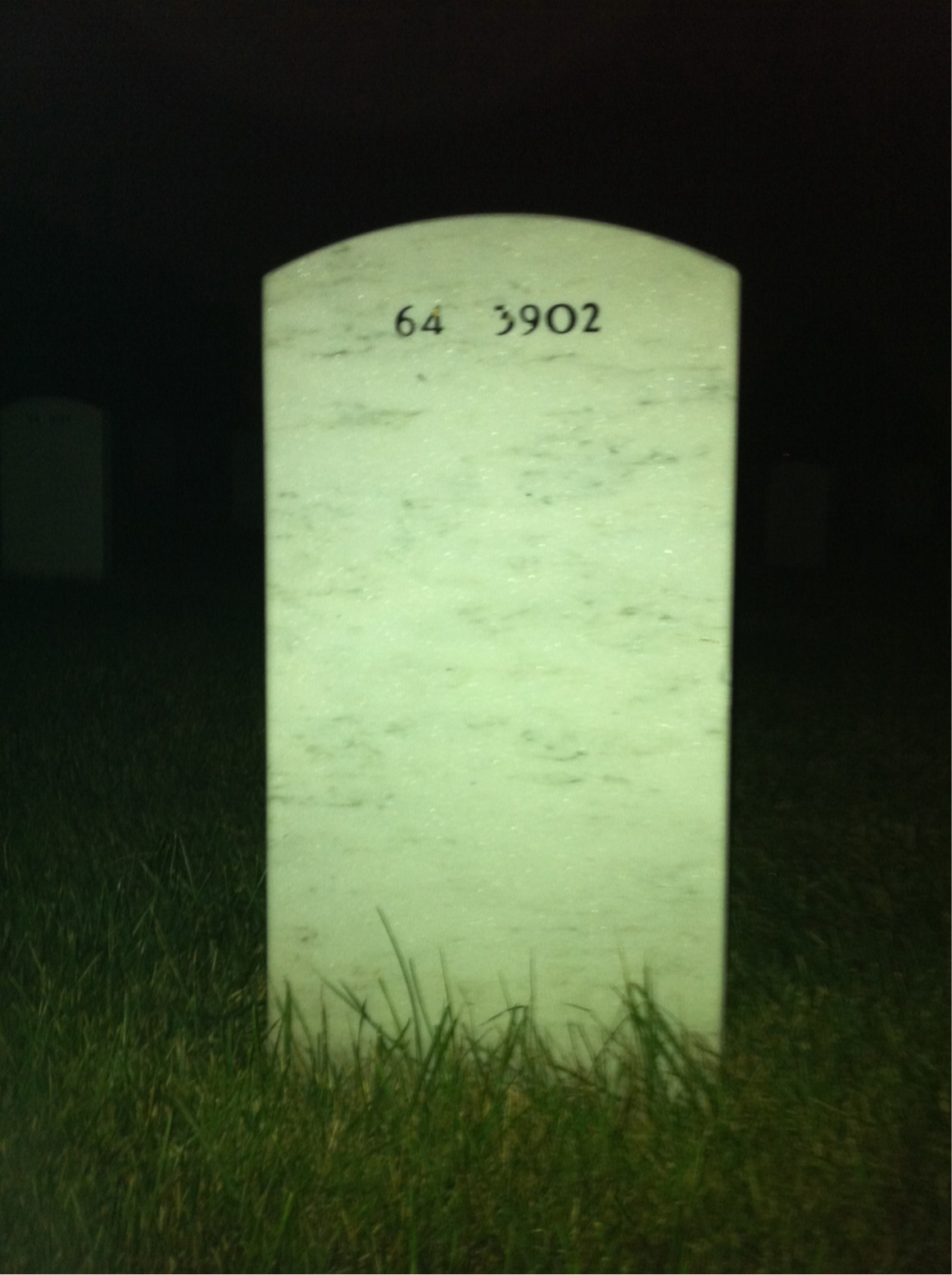 Back of headstone — Albert Donnelly