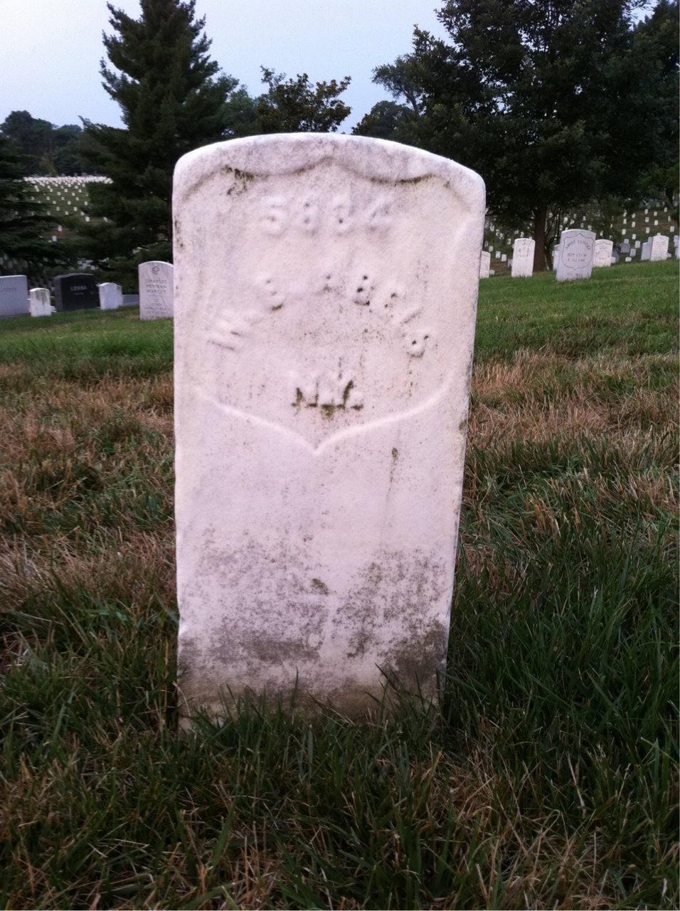 William Abels