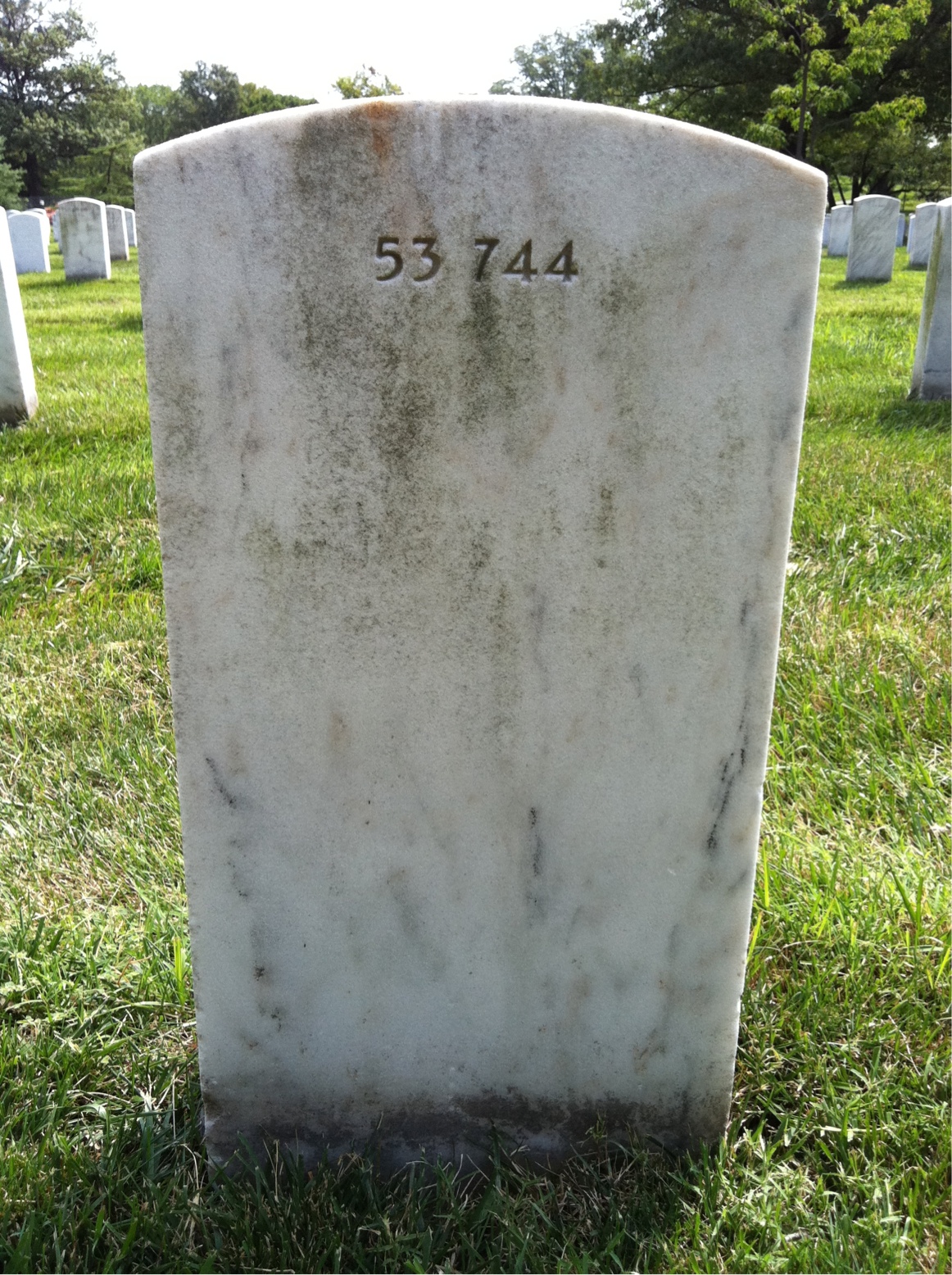 Back of headstone — Johnny Tracy