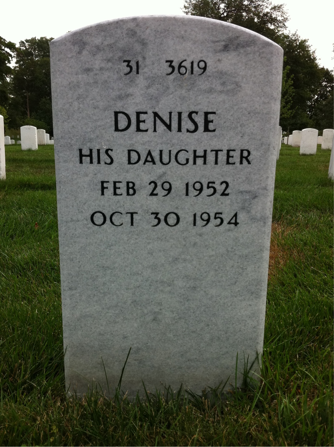Back of headstone — Amerigo Busa