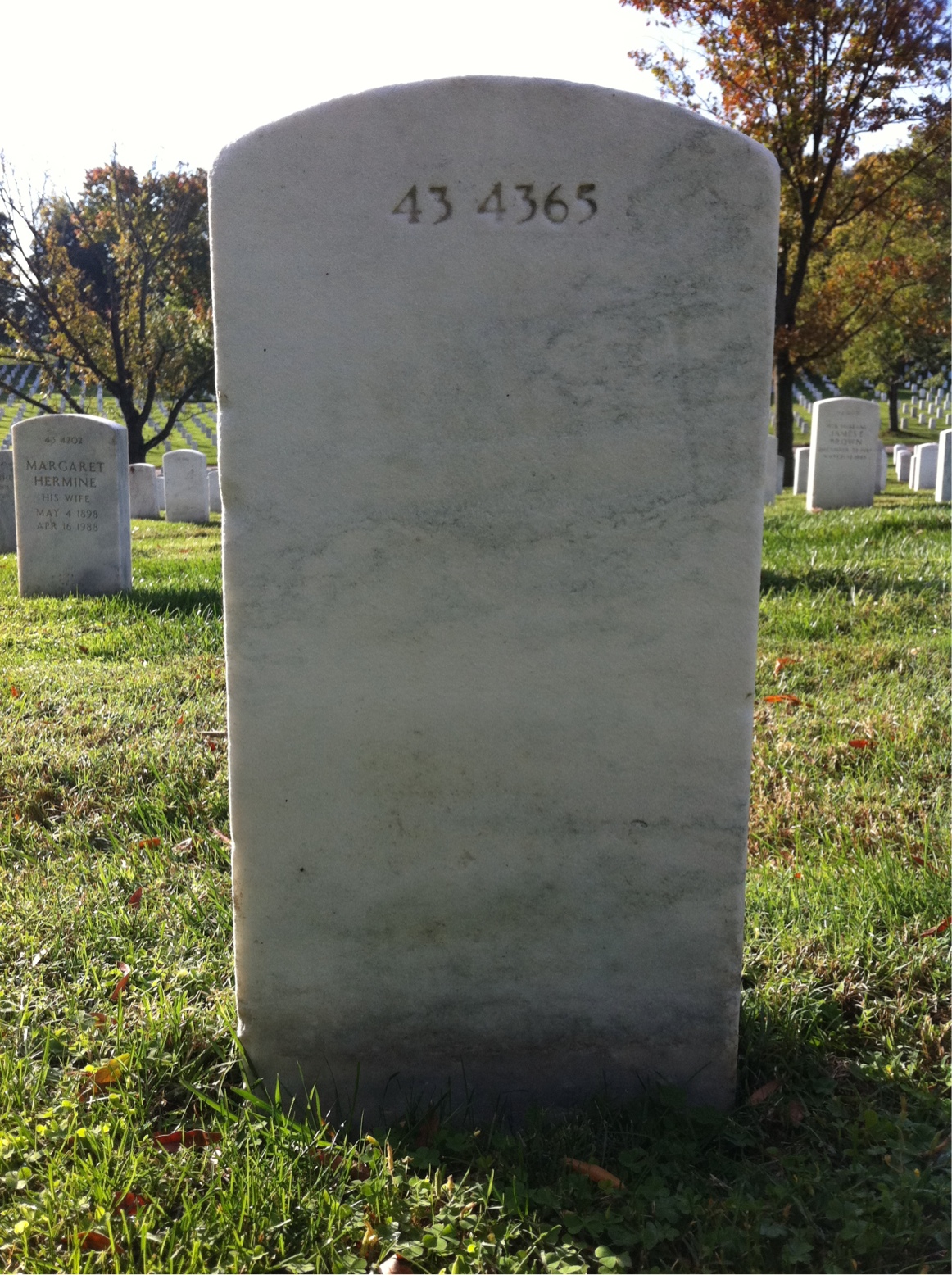 Back of headstone — Willie Hill