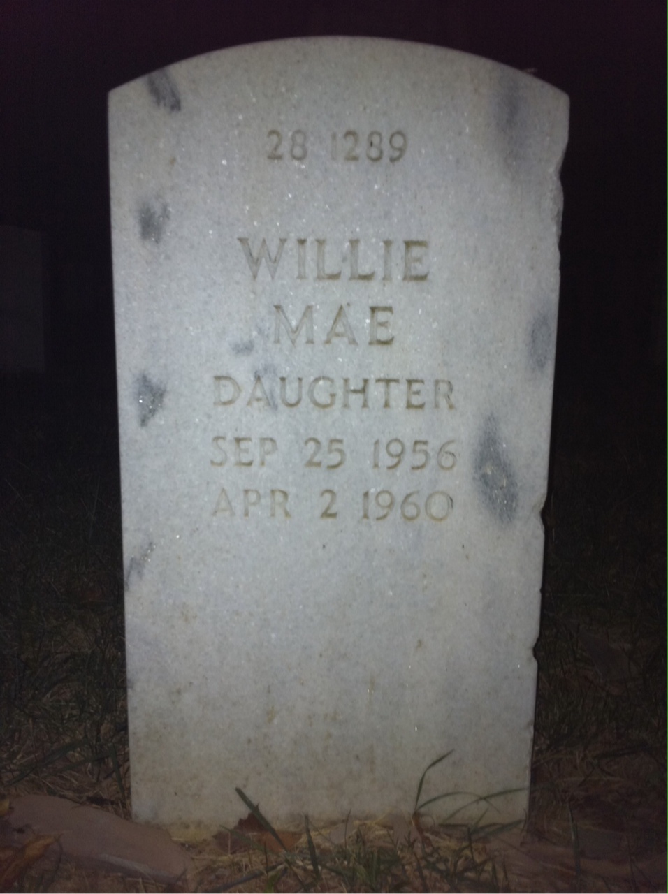 Back of headstone — Willie Lewis