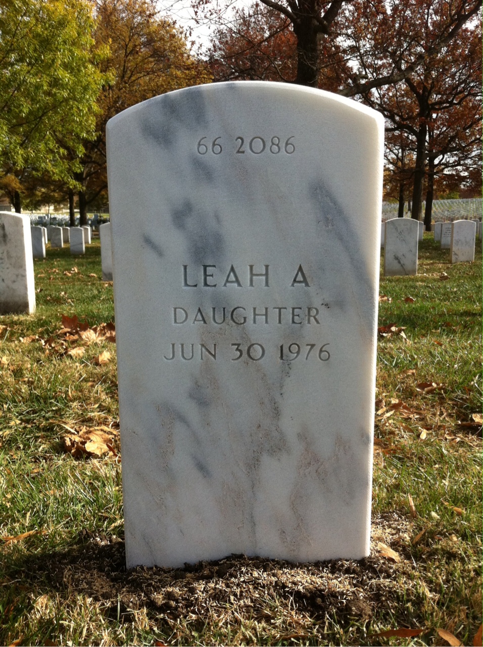 Back of headstone — Thomas Edward Nadolski