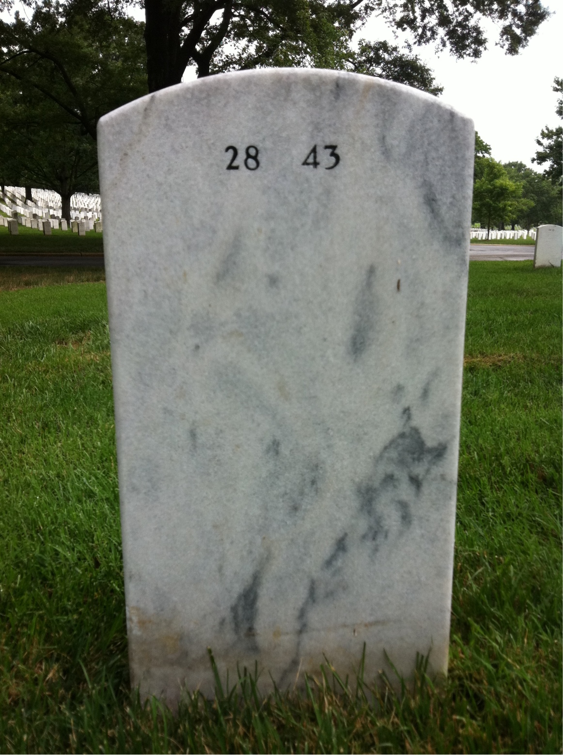 Back of headstone — Liberato Ruggia