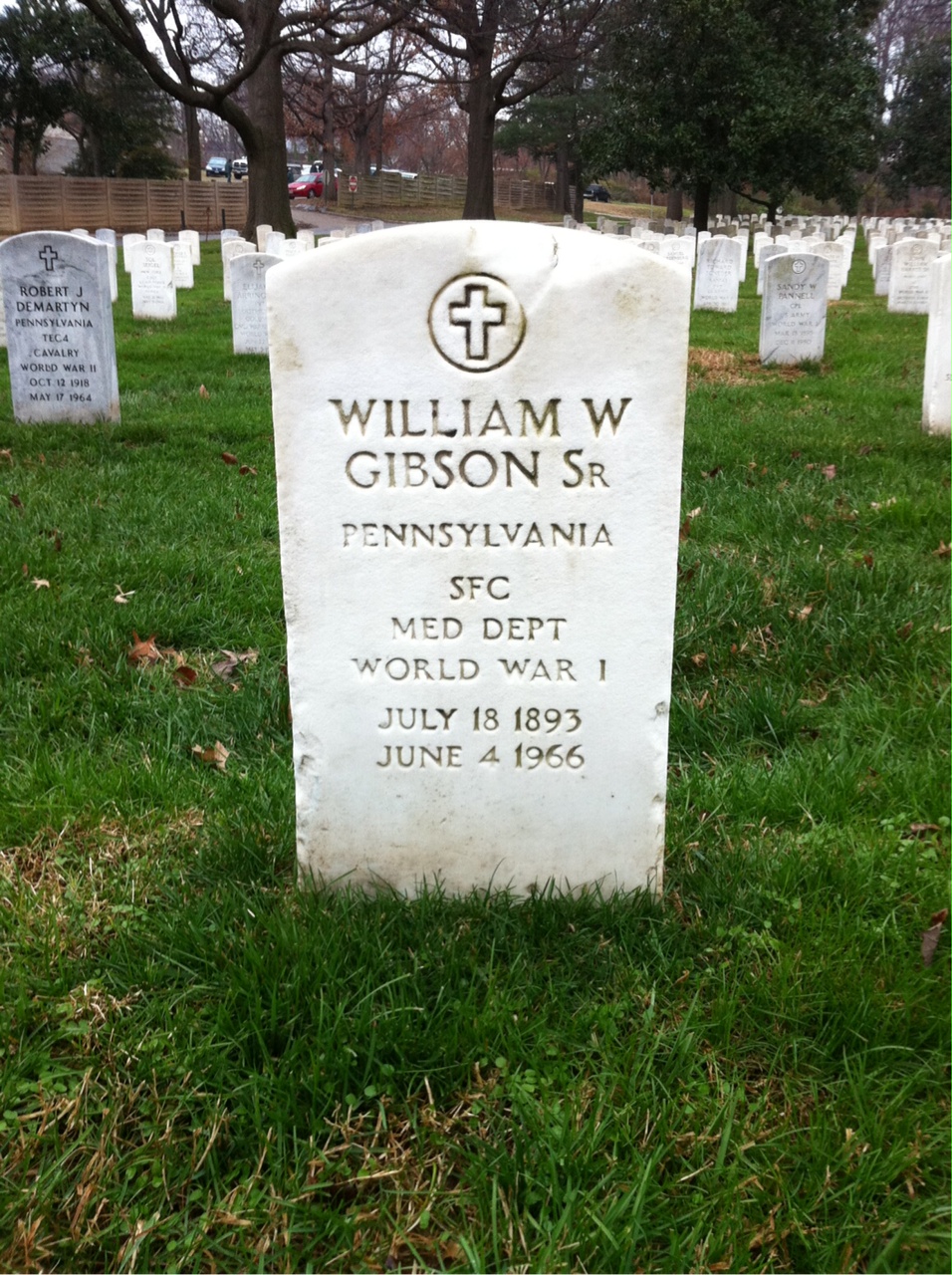 William V Gibson