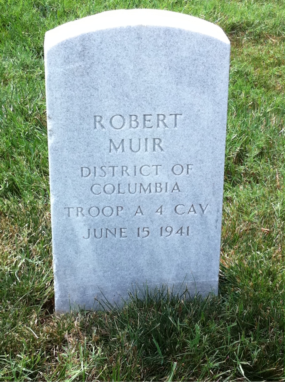 Robert Muir